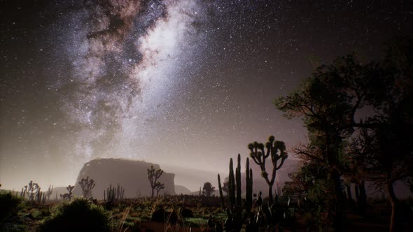 The Milky Way Above the Utah Desert, USA