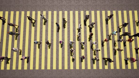 Pedestrian Yellow Zebra Crowd People City Street Day Busy Crosswalk Intersection