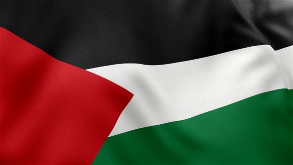 Palestine Flag