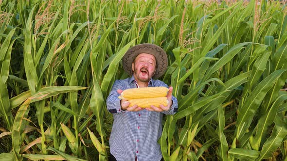 Top View of a Happy Elderly Worker Looking at Camera in a Cornfield Man Holds a Young Crop of Corn