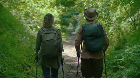 Hiker Practicing Nordic Walking In Forest. Sticks Walking On Jungle Foliage. Hiker Hiking Sport.