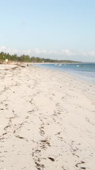 Tanzania  Vertical Video Empty Beach on Zanzibar Island Slow Motion