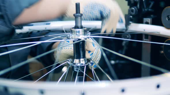 Bicycle Mechanic Lacing a Bicycle Rim