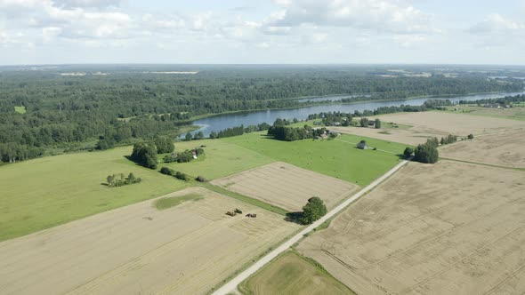 Landscape of rye fields in countryside during harvest, aerial drone