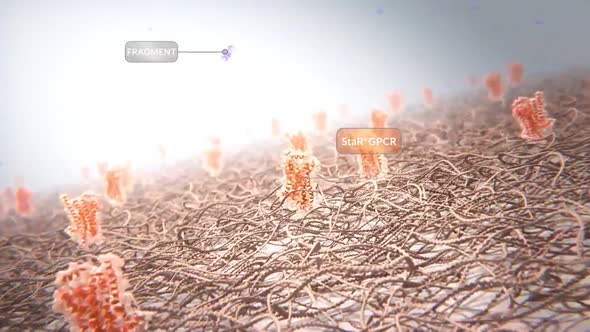 Microbiology Medical Animation of G Protein Coupled Receptors