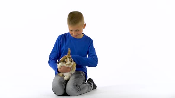 Happy Boy Is Holding and Stroking Threecolored Rabbit at White Background. Slow Motion.