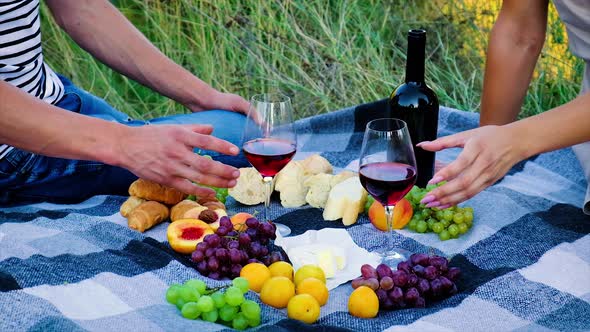 Picnic in Nature with Wine Lovers Together