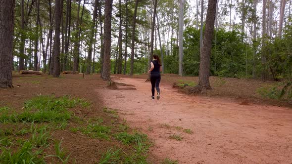 Static shooting o a girl jogging on a dirt trail between eucalyptus trees.