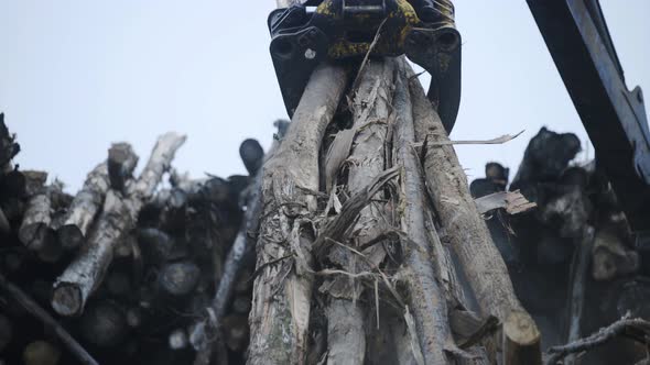 Log Grappler Getting Pieces of Logs. Deforestation for Industrial Production, Mechanical Gripper