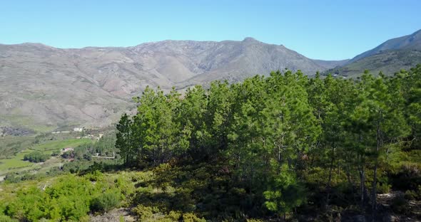 Aerial view from the forest at Serra da Estrela Natural Park