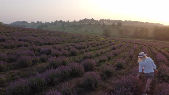 Walking Women in the Field of Lavender