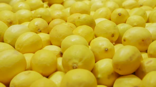 The Fresh Lemons