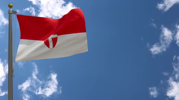 Vienna City Flag (Austria) On Flagpole