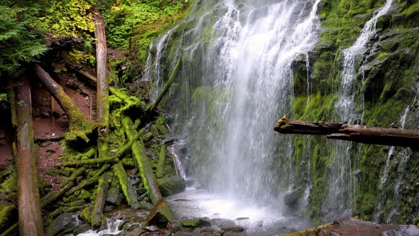 Proxy Falls in Oregon, USA