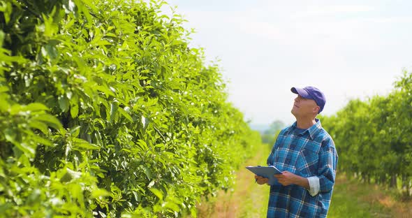 Male Researcher Looking at Trees While Writing on Clipboard