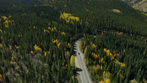 Aerial shot over stunning mountain highway with fall forest colors, 4K