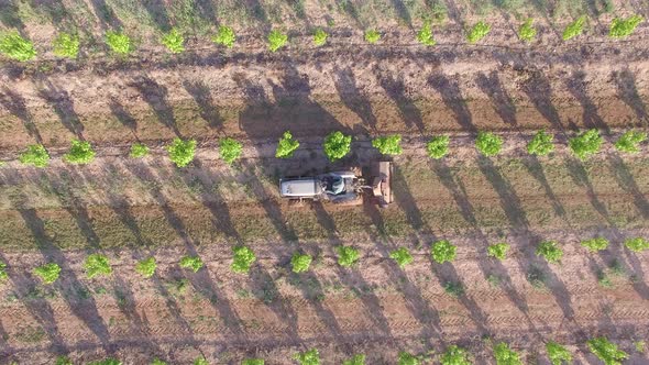 Tractor Working the Land 