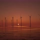 3D animation of offshore wind turbines at sunset. Wind Farm, renewable energy. - VideoHive Item for Sale