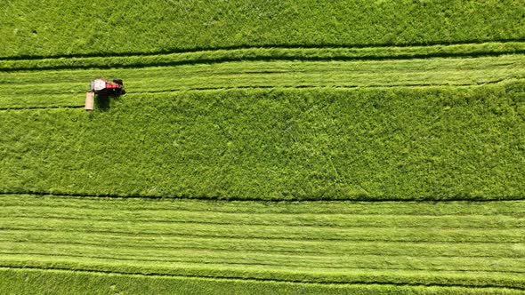 Aerial view of a tractor mowing a green fresh grass