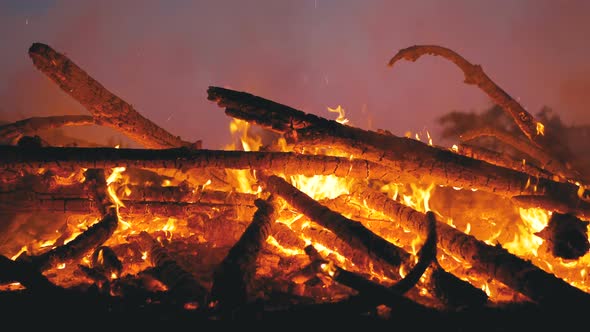 Big Campfire of the Branches Burn at Night in the Forest. Slow Motion