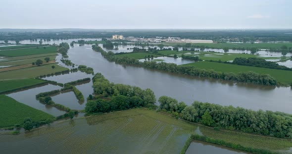 Aerial view of corn field along river Maas, The Netherlands.