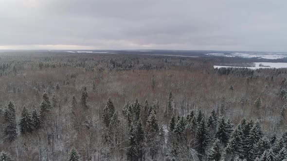 Winter Landscape with Forest Field