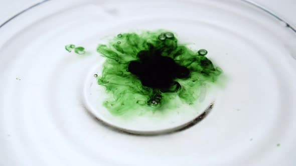 Drop of green chlorophyll or chlorella extract falls into water