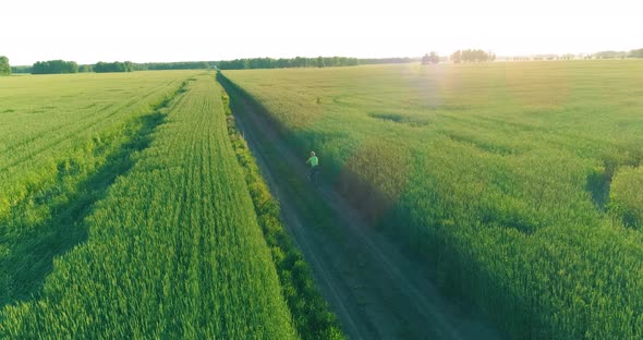 Aerial View on Young Boy, That Rides a Bicycle Thru a Wheat Grass Field on the Old Rural Road