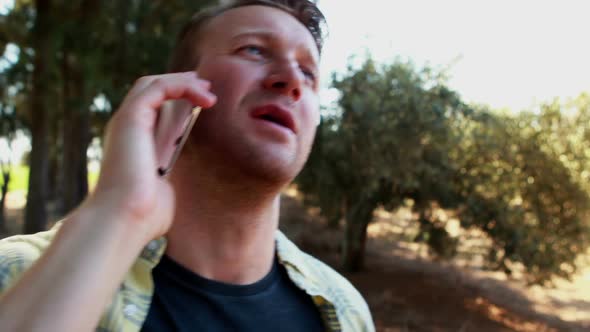 Man talking on mobile phone in olive farm 4k