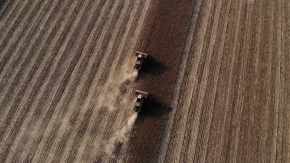 Aerial View of Several Harvesters on a Field of Sunflowers