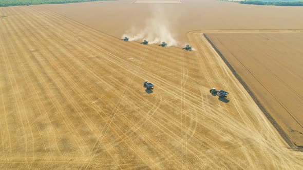 Four Harvesters Combining on a Prairie Landscape in Formation. Harvesting Wheat Field Aerial View