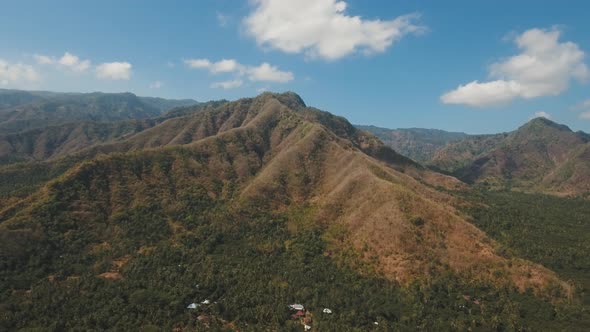 View of Mountain Forest Landscape