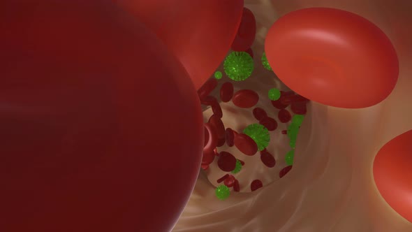 3D rendered visualisation of coronavirus in blood stream