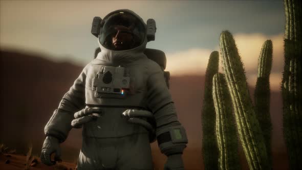 Astronauth in the High Desert of Nevada alt