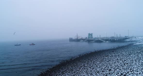 Bird flying near a harbor in a snowy day