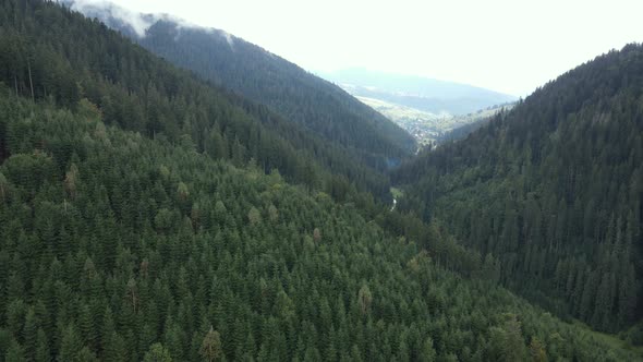 Nature of Ukraine: Carpathian Mountains Slow Motion. Aerial View