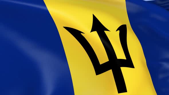 Barbados Flag