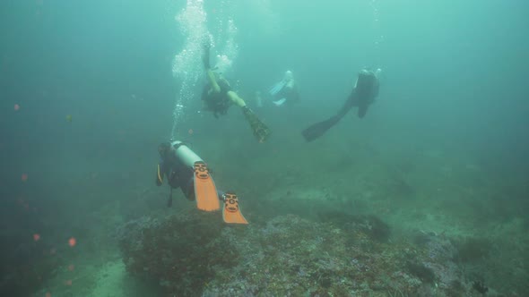 Scuba Divers Underwater. Philippines, Mindoro