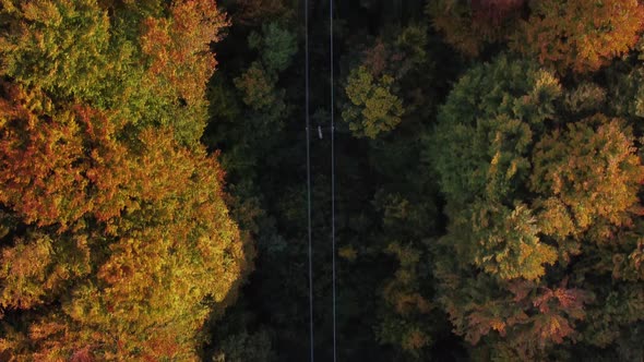 Top down view on power lines in autumn forest