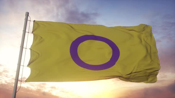Intersex Pride Flag Waving in the Wind Sky and Sun Background