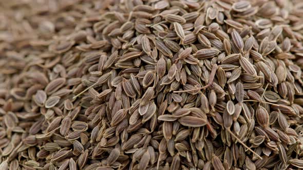 Dry Dill Seeds Pile Slow Rotating Looped Background
