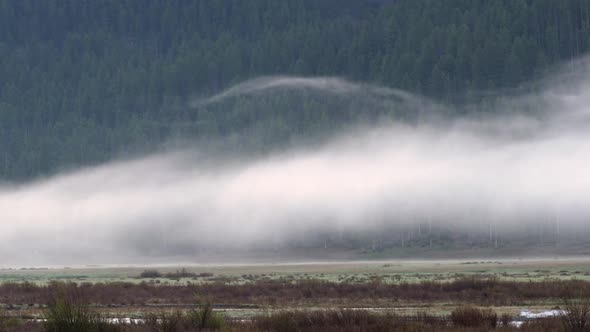Low fog moving through Yellowstone landscape