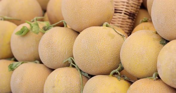 Fresh Ripe Juicy Melon in Market Closeup