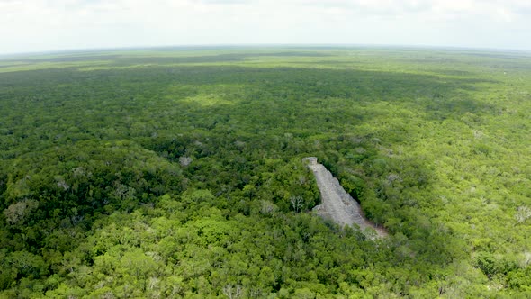 Aerial View of the Mayan Pyramids in the Jungle of Mexico Near Coba