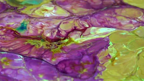 Vibrant Colours Paint Swirling Explosion alt