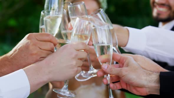 Guest toasting with champagne glasses along with bride and groom 4K 4k