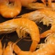 Delicious cooked shrimp on the plate - VideoHive Item for Sale