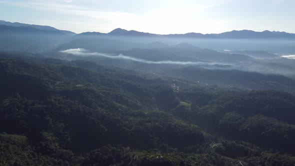 Aerial view green forest