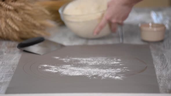 Female Baker Working with the Organic Yeast Dough on the Table