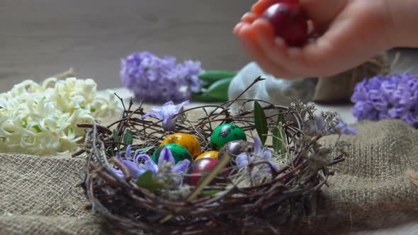 Child's Hand Lays Colored Egg in in the Easter Nest